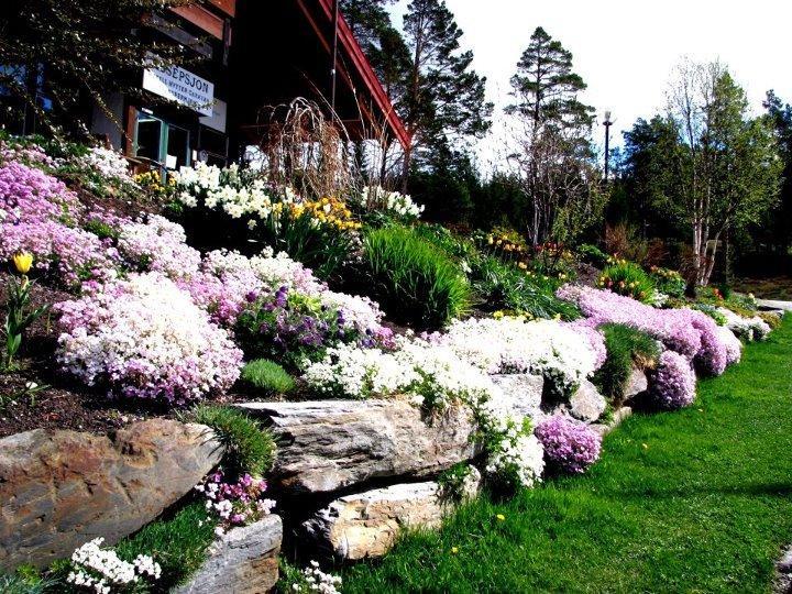 Trolltun Hotel & Hytter Dombås Exterior foto